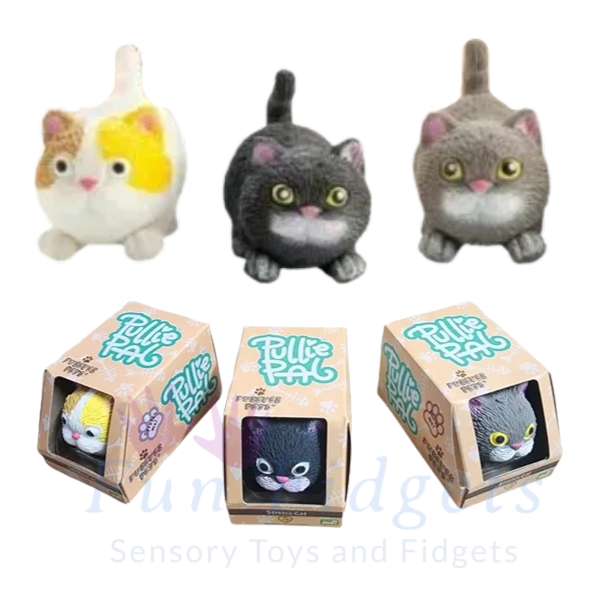 Cat 2024 sensory toys