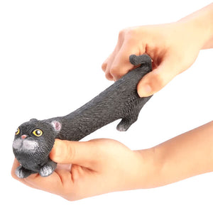 Squishy Stretch Cat